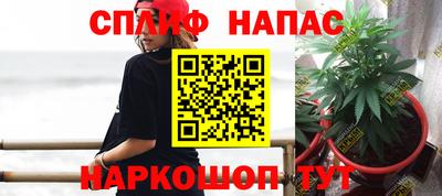 крисы Будённовск