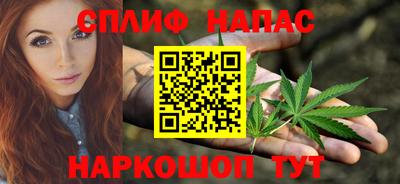 крисы Будённовск