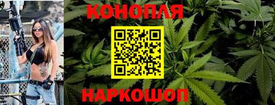 крисы Будённовск